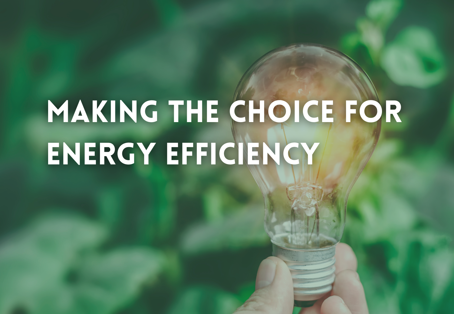 Making the Choice for Energy Efficiency